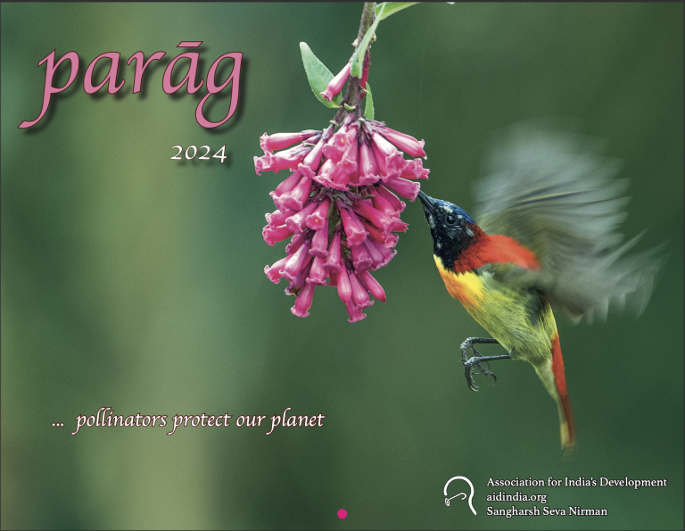 cover of 2024 AID calendar parāg ... pollinators protect our planet