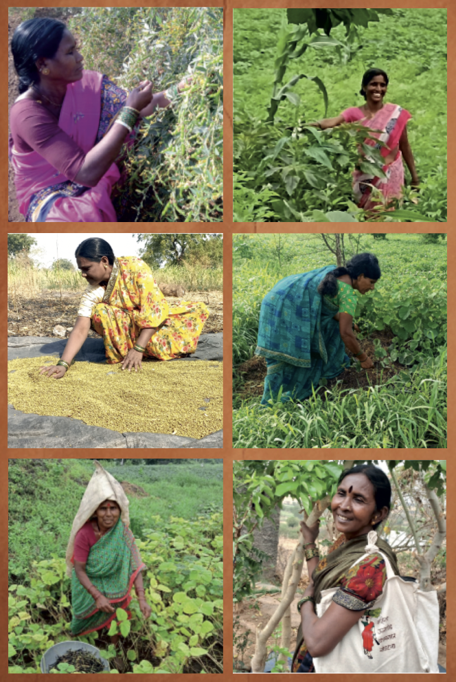 6 farmers pushkala